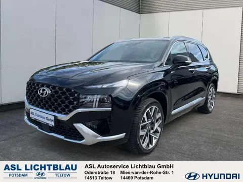 Annonce HYUNDAI SANTA FE Diesel 2023 d'occasion 