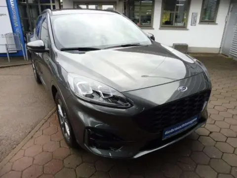 Annonce FORD KUGA Essence 2024 d'occasion 