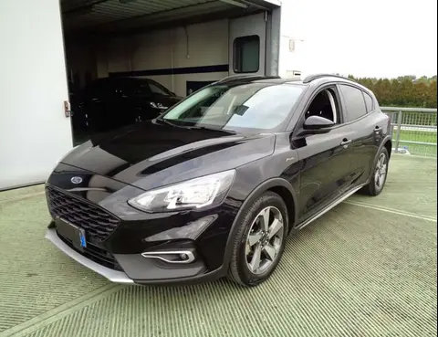 Used FORD FOCUS Hybrid 2021 Ad 