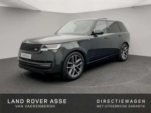 Used LAND ROVER RANGE ROVER Diesel 2023 Ad 