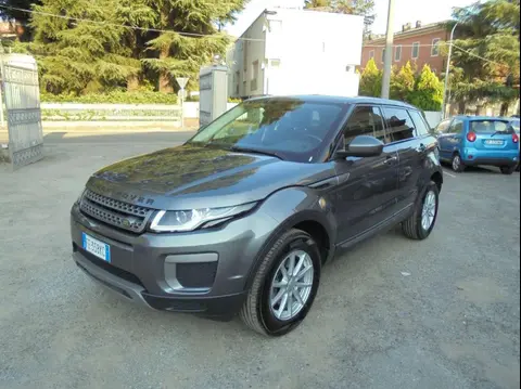 Annonce LAND ROVER RANGE ROVER EVOQUE Diesel 2016 d'occasion 