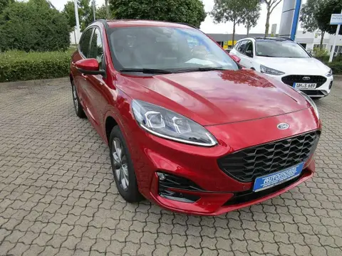 Used FORD KUGA Hybrid 2024 Ad 