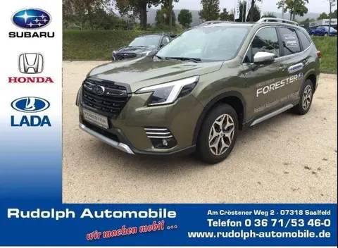 Annonce SUBARU FORESTER Hybride 2023 d'occasion 