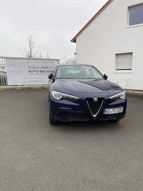 Used ALFA ROMEO STELVIO Diesel 2019 Ad 