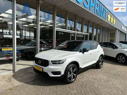 Used VOLVO XC40 Hybrid 2021 Ad 