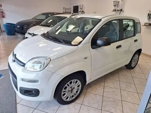 Annonce FIAT PANDA Hybride 2020 d'occasion 