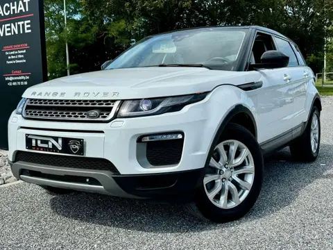 Used LAND ROVER RANGE ROVER EVOQUE Diesel 2017 Ad 