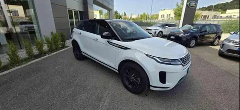 Used LAND ROVER RANGE ROVER EVOQUE Diesel 2020 Ad 