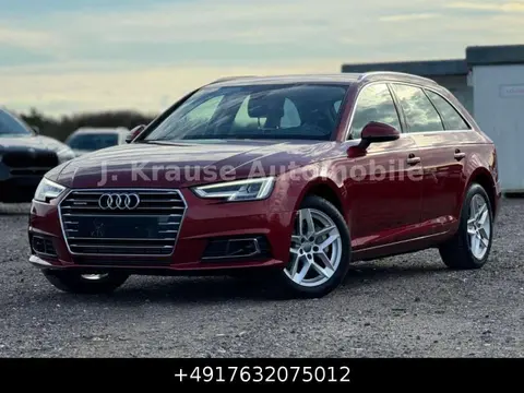 Used AUDI A4 Diesel 2017 Ad 