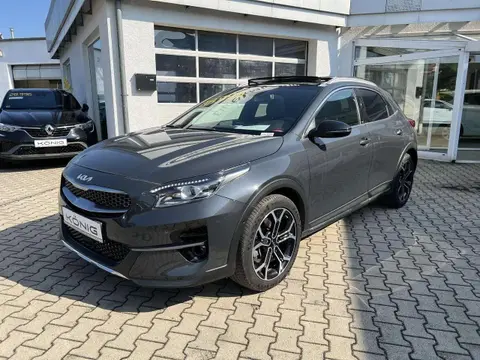 Used KIA XCEED Petrol 2022 Ad 