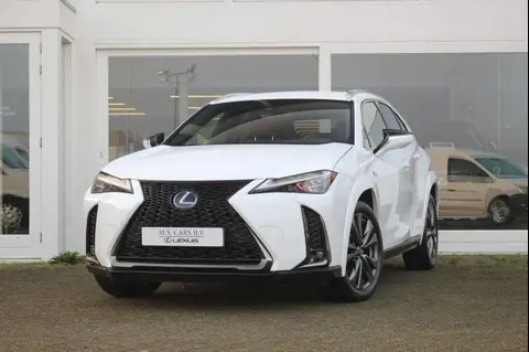 Used LEXUS UX Hybrid 2019 Ad 