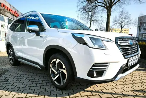 Annonce SUBARU FORESTER Hybride 2024 d'occasion 