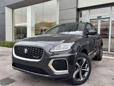 Used JAGUAR E-PACE Hybrid 2024 Ad 