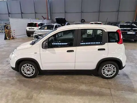 Annonce FIAT PANDA Hybride 2023 d'occasion 