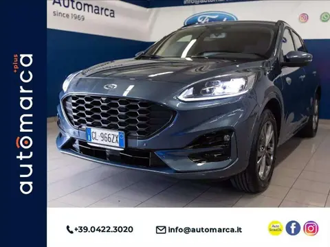 Used FORD KUGA Hybrid 2022 Ad 