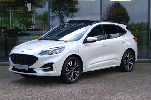 Annonce FORD KUGA Hybride 2021 d'occasion 