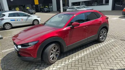 Used MAZDA CX-30 Hybrid 2019 Ad 