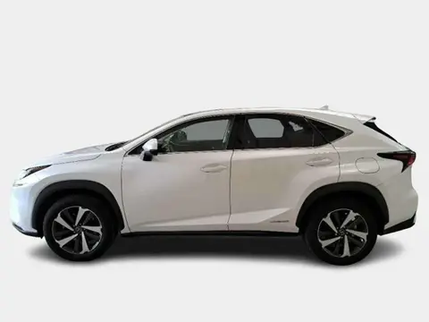 Used LEXUS NX Hybrid 2019 Ad 