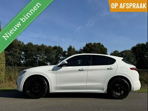 Used ALFA ROMEO STELVIO Petrol 2018 Ad 