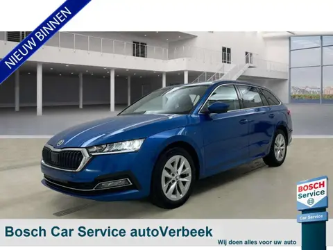 Used SKODA OCTAVIA Petrol 2024 Ad 