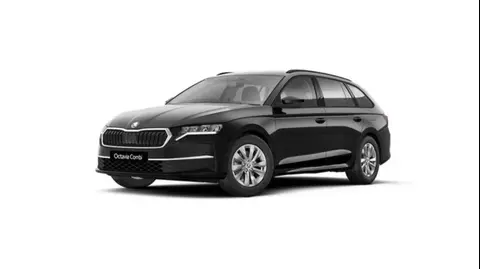 Annonce SKODA OCTAVIA Diesel 2024 d'occasion 