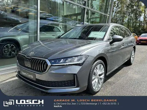 Used SKODA SUPERB Diesel 2024 Ad 