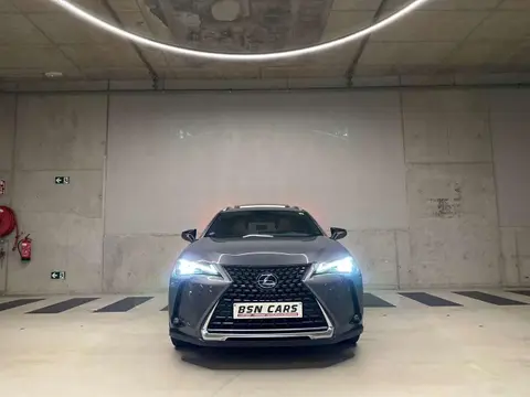 Used LEXUS UX Hybrid 2019 Ad 