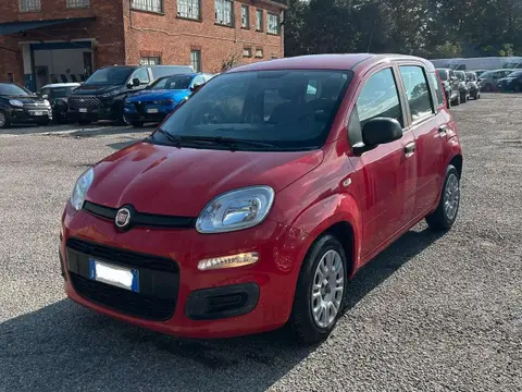 Annonce FIAT PANDA Hybride 2022 d'occasion 