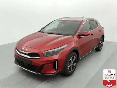 Annonce KIA CEED Hybride 2024 d'occasion 