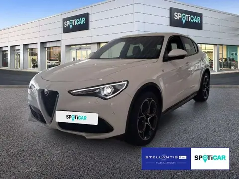 Annonce ALFA ROMEO STELVIO Essence 2023 d'occasion 