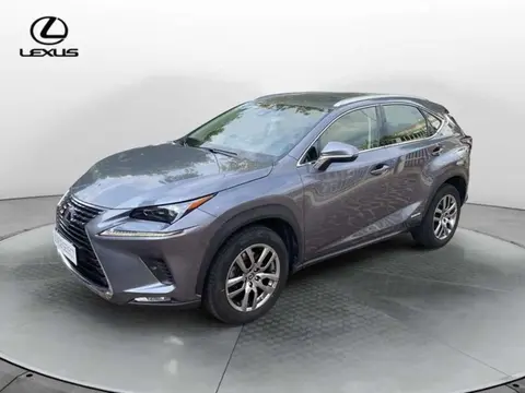 Annonce LEXUS NX Essence 2021 d'occasion 