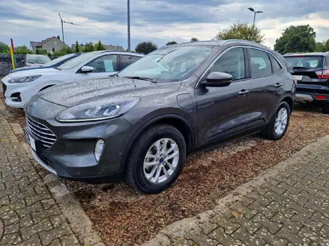 Used FORD KUGA Hybrid 2021 Ad 