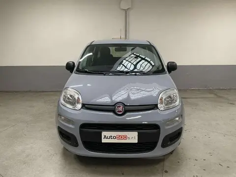 Annonce FIAT PANDA Essence 2019 d'occasion 