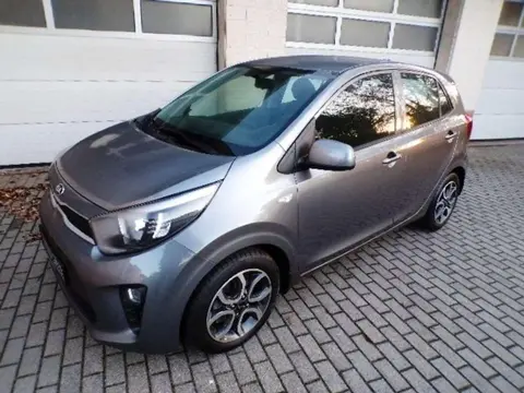 Annonce KIA PICANTO Essence 2021 d'occasion 