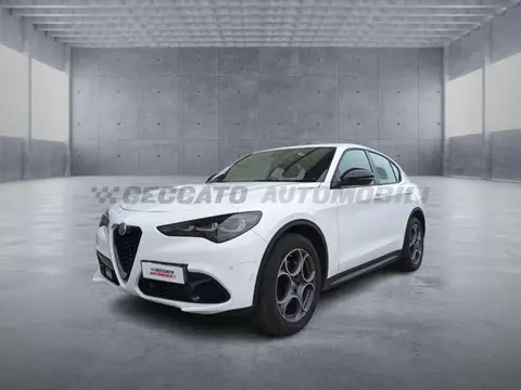 Annonce ALFA ROMEO STELVIO Diesel 2023 d'occasion 