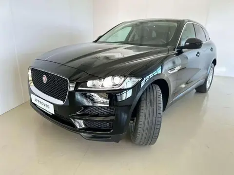 Used JAGUAR F-PACE Diesel 2020 Ad 