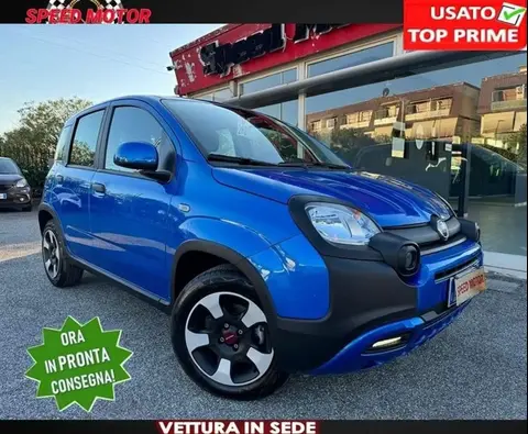 Used FIAT PANDA Hybrid 2022 Ad 