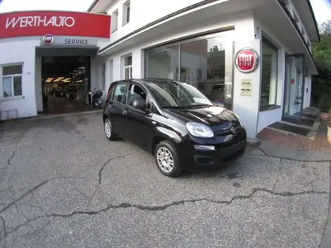 Used FIAT PANDA Petrol 2018 Ad 