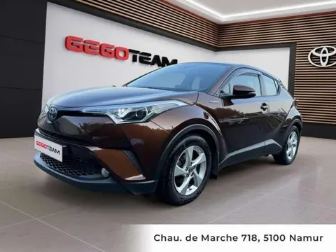 Used TOYOTA C-HR Hybrid 2017 Ad 