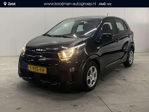 Used KIA PICANTO Petrol 2023 Ad 