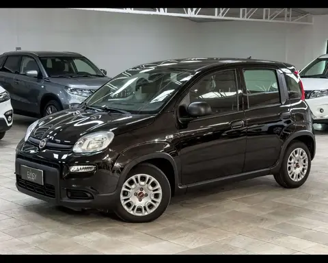 Annonce FIAT PANDA Hybride 2023 d'occasion 