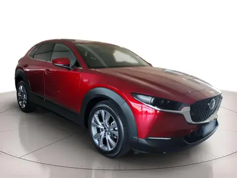 Annonce MAZDA CX-30 Hybride 2020 d'occasion 