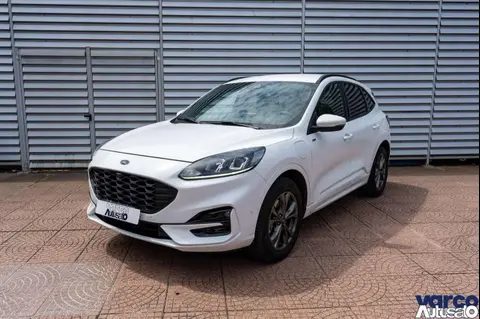 Used FORD KUGA Petrol 2021 Ad 