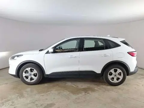 Annonce FORD KUGA Diesel 2021 d'occasion 