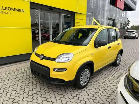 Used FIAT PANDA Hybrid 2024 Ad 