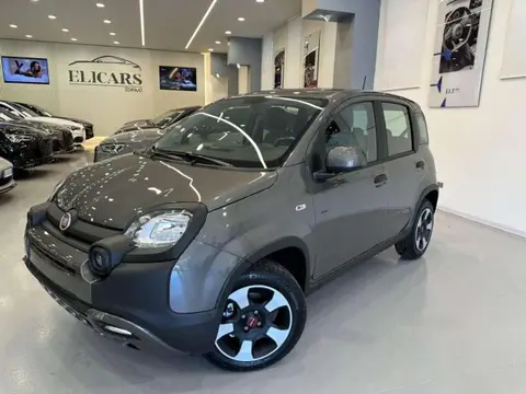 Used FIAT PANDA Hybrid 2023 Ad 