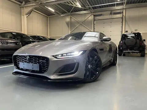 Used JAGUAR F-TYPE Petrol 2023 Ad 