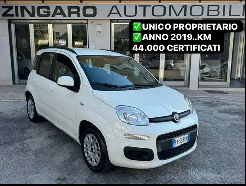 Used FIAT PANDA Petrol 2019 Ad 