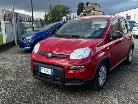 Used FIAT PANDA Hybrid 2024 Ad 