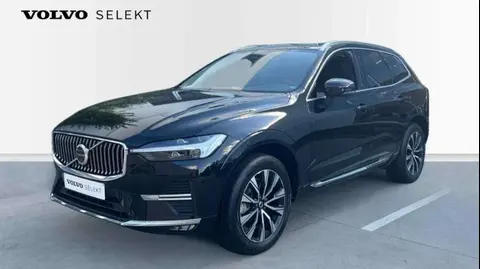 Used VOLVO XC60 Hybrid 2022 Ad 